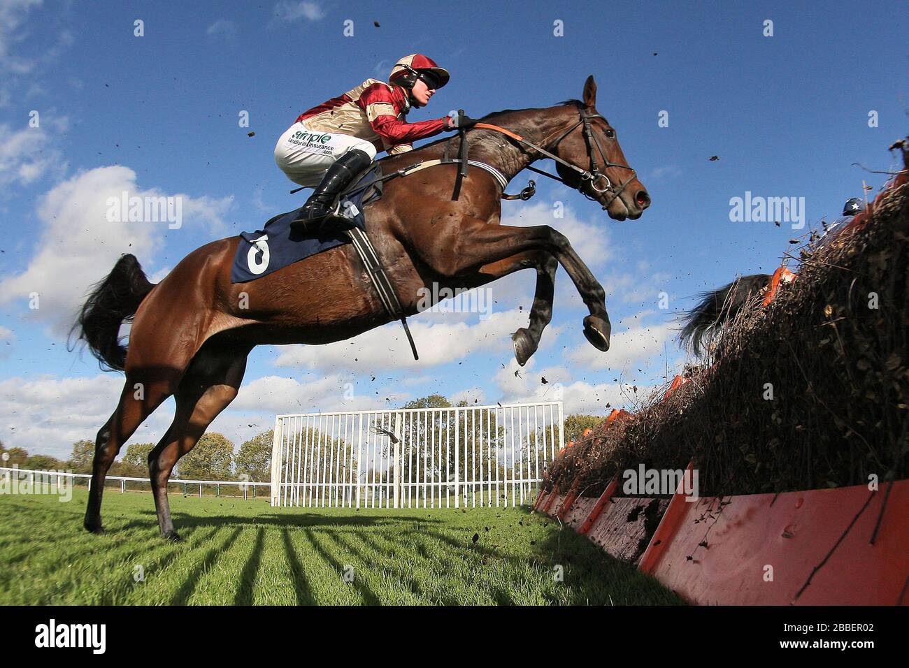 Musnad ridden by Danny Cook in jumping action during the Warrens of Warwick 34 Years Anniversary Handicap Hurdle Stock Photo