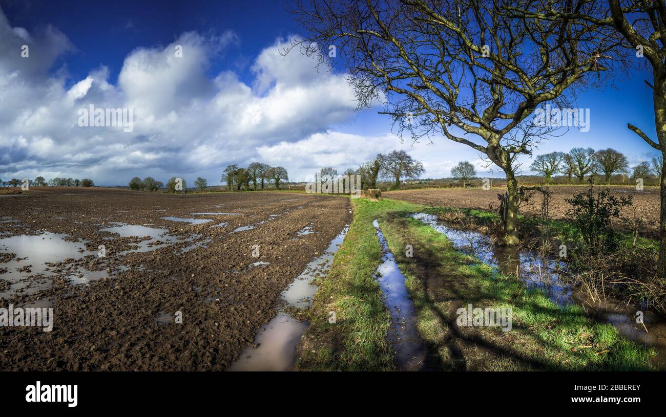 Flooded ditch and  tyre tracks made by a tractor  in a field filled with rain water. Stock Photo