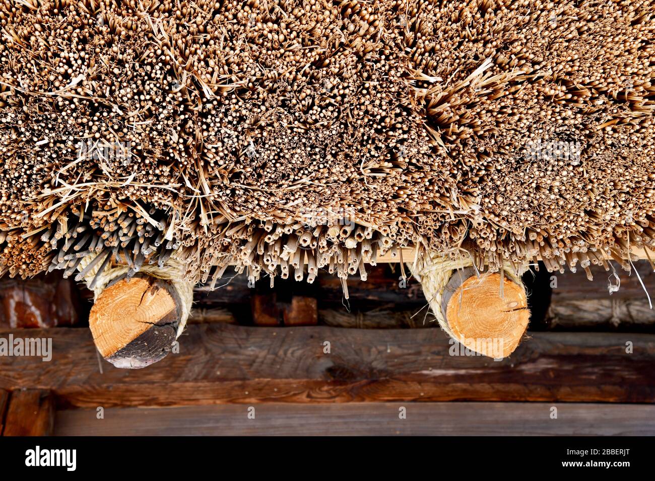 Frontal close up of part of a thatched roof on one of the traditional ...
