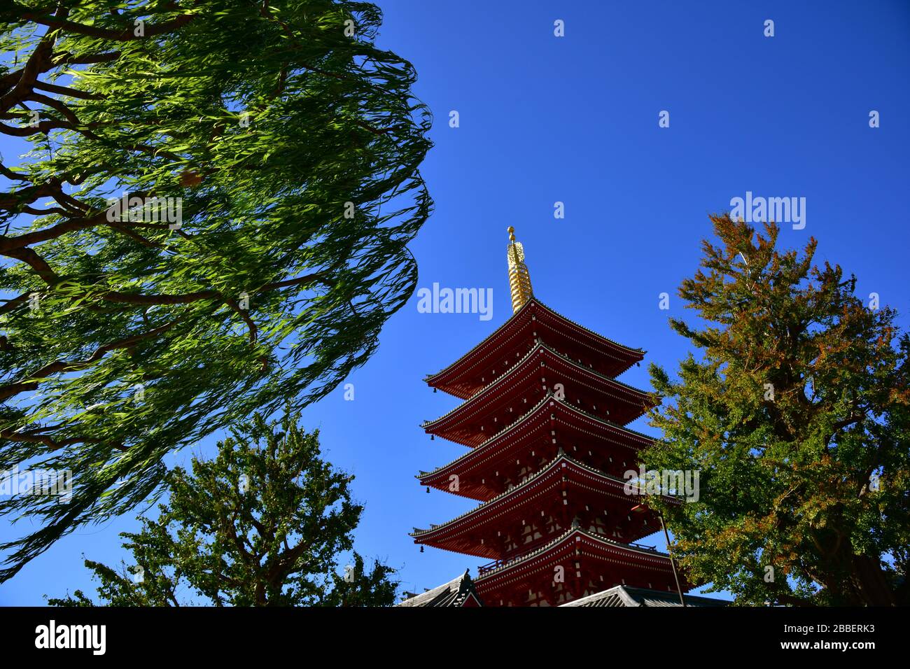 Low angle view between green leafy trees of the pagoda next to the Sensoji Temple in Tokyo Japan Stock Photo