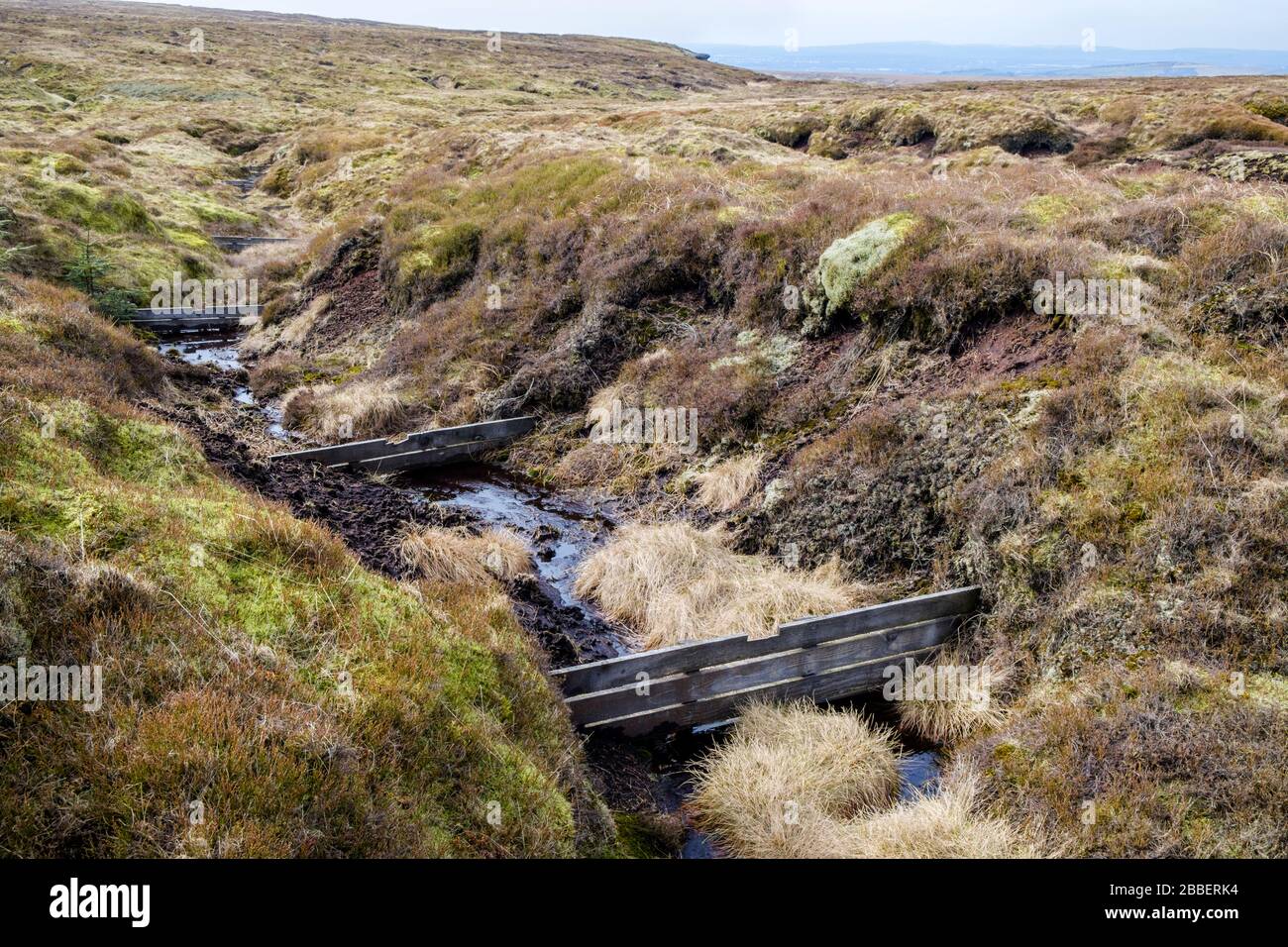 Gully blocking using wooden dams preventing erosion of the moor. Part of the restoration work on Kinder Scout, Derbyshire, Peak District, England, UK Stock Photo