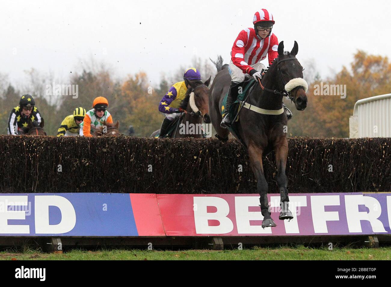 swinger arkle and al