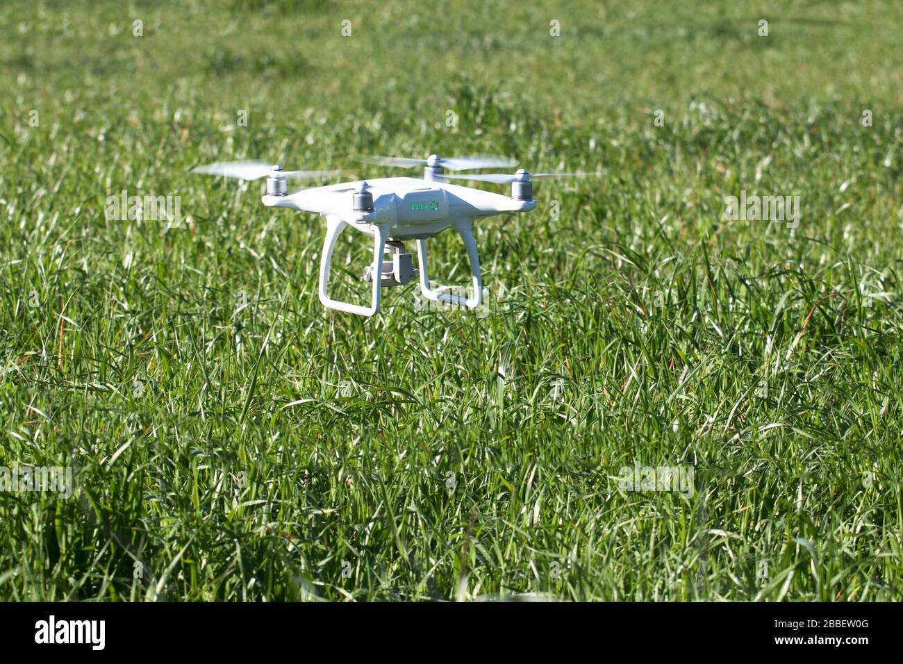 Flying over the grass hi res stock photography and images Alamy