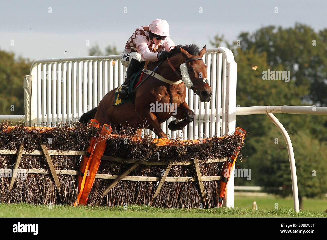 Marodima ridden by Tom O'Brien in jumping action during the Kettle Chips Handicap Hurdle Stock Photo