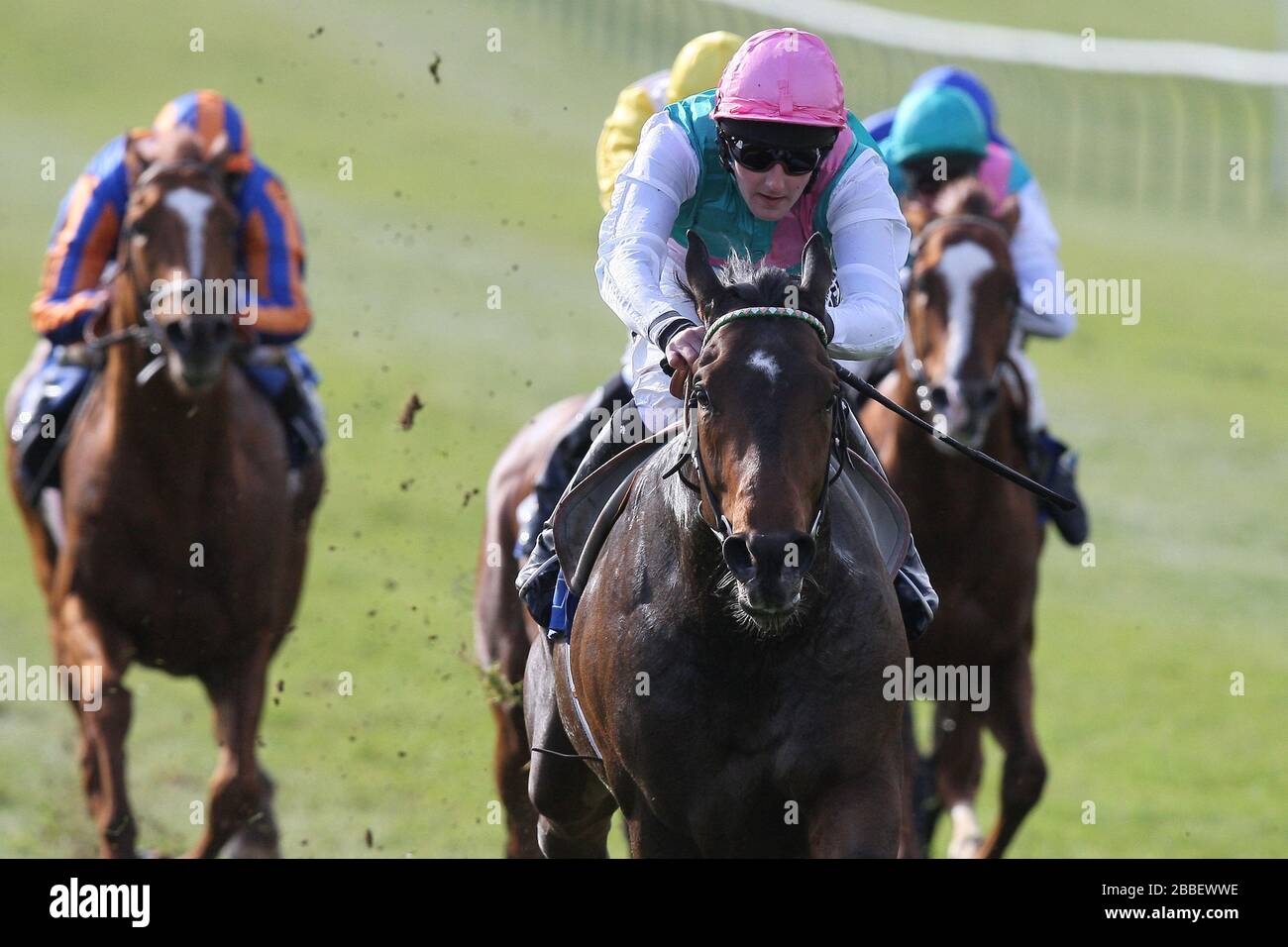 Race winner Stipulate ridden by Tom Queally (pink cap) in action during the Blue Square Feilden Stakes (Listed Race) Stock Photo