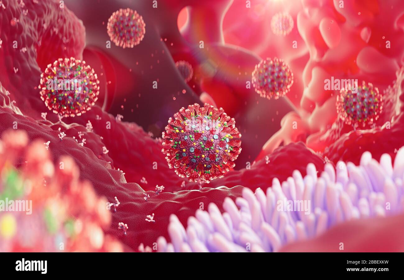 Coronavirus sars-cov-2 infection in human body. COVID-19 virus cells, tissue infection process. Flu infection medical background. 3D render illustration. Stock Photo