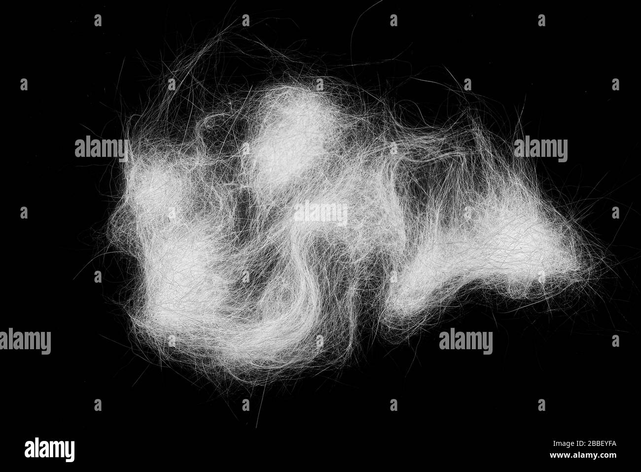 Pile of white cobweb or spider web as dust, hair isolated on black background Stock Photo