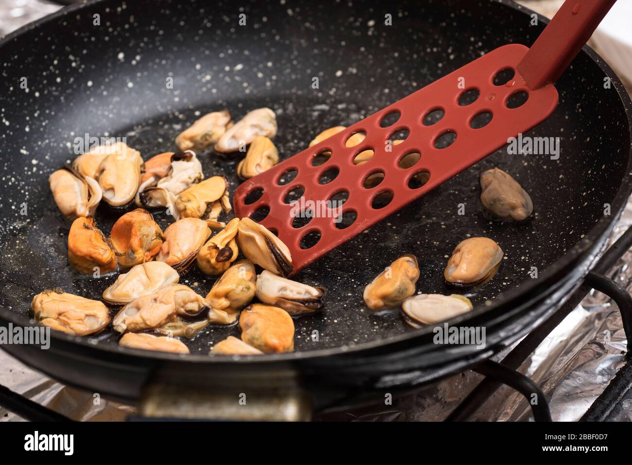 Cooking mussels in frying pan on kitchen stove. Stock Photo