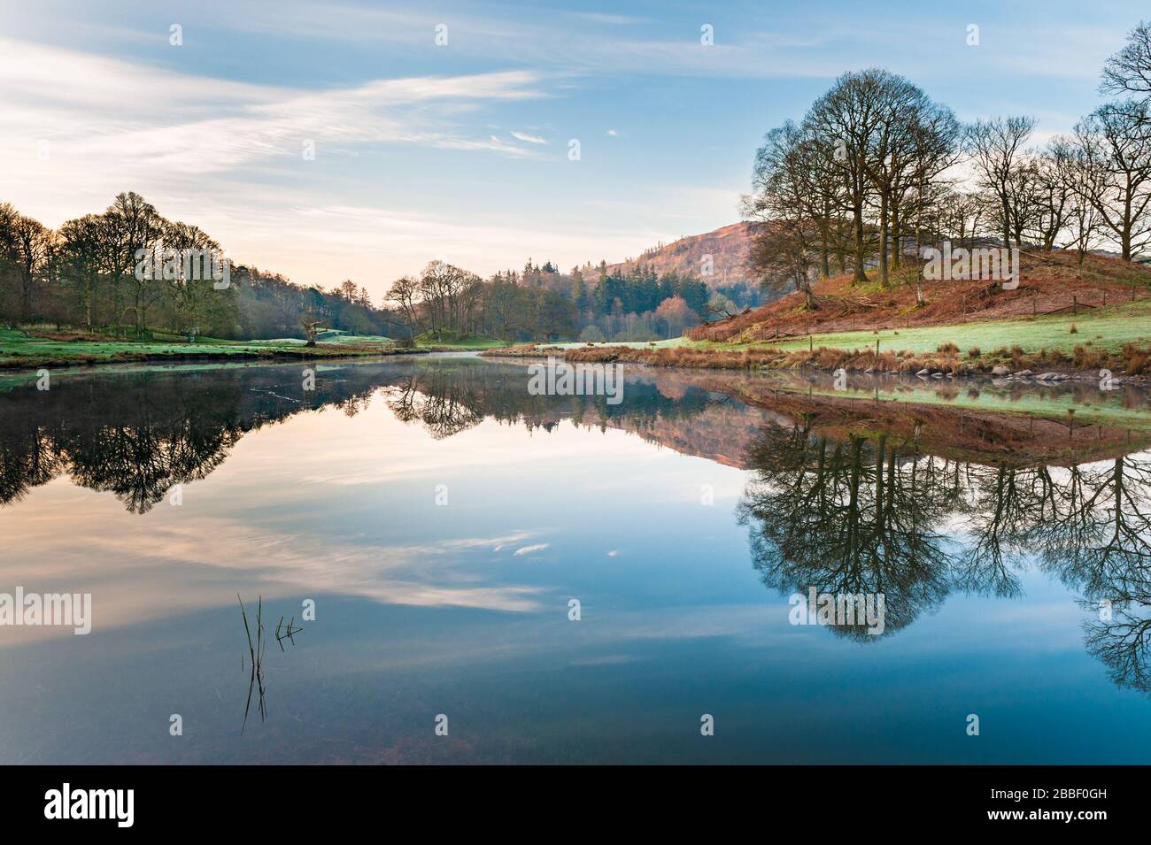 Tranquil woodland & fells landscape at Elter water a small lake / tarn near Elterwater in Great Langdale in the English Lake District, Cumbria Stock Photo