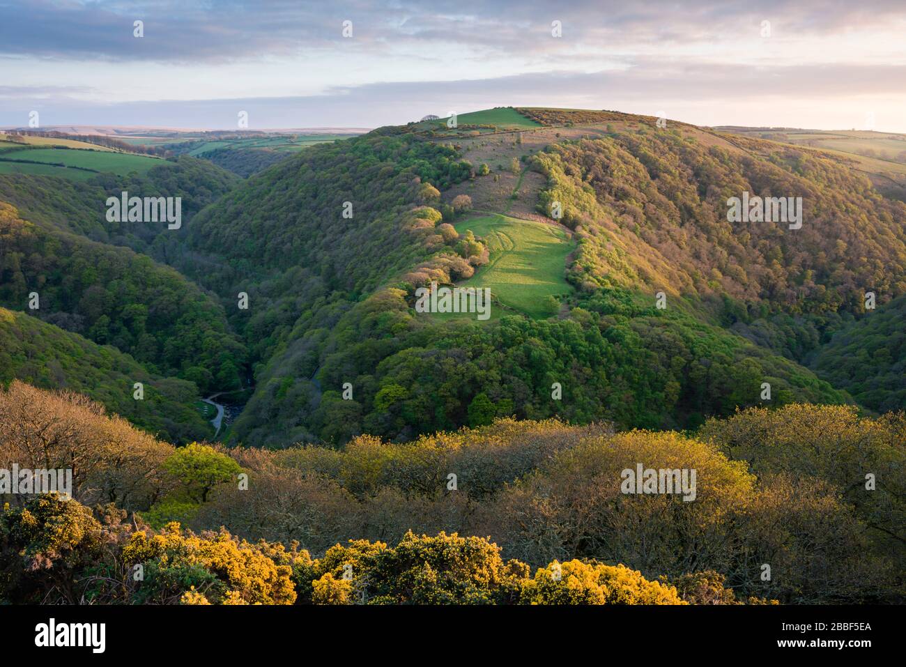 View over Myrtleberry Cleve and the East Lyn Valley in spring from South Hill Common in the Exmoor National Park, Devon, England. Stock Photo