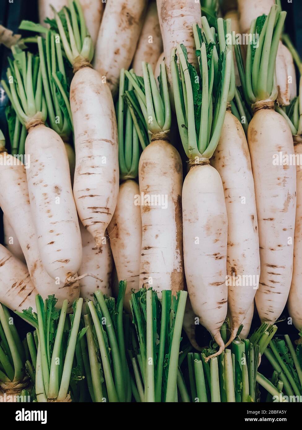 Organic local daikon radish vegetables or sell in the market, vegetable Stock Photo