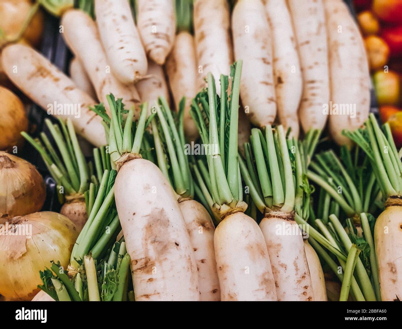 Organic local daikon radish vegetables or sell in the market, vegetable Stock Photo