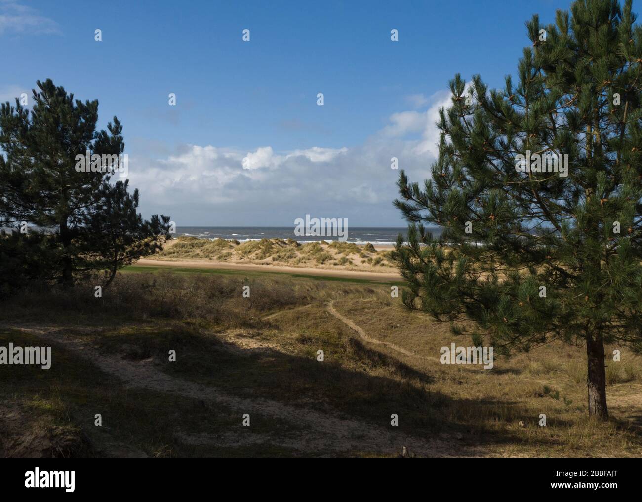 Footpaths to the beach from the woodland, Wells-next-the-Sea, Norfolk, UK Stock Photo