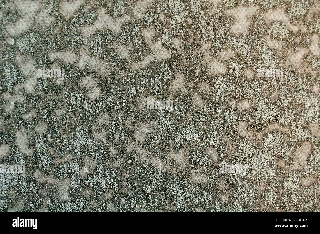 Pattern Material Rooof Pattern on a roofing material, closeup, building background ...