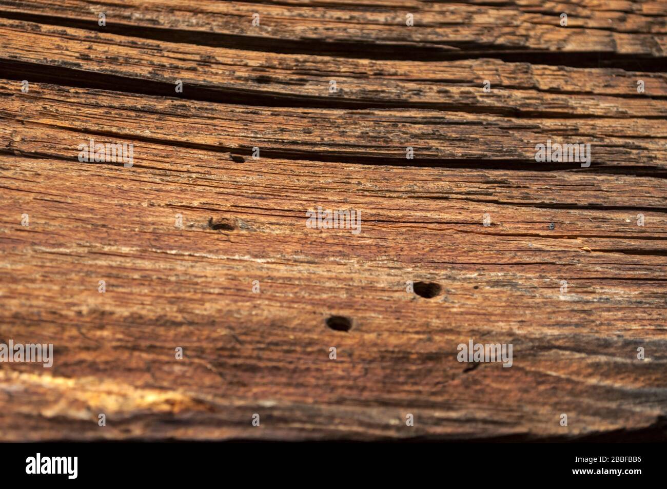 Wood defect hires stock photography and images Alamy