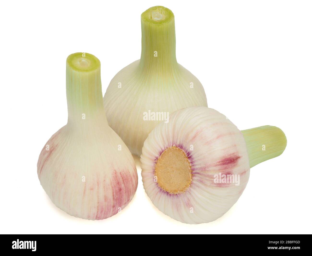 Fresh young garlic isolated on white background Stock Photo