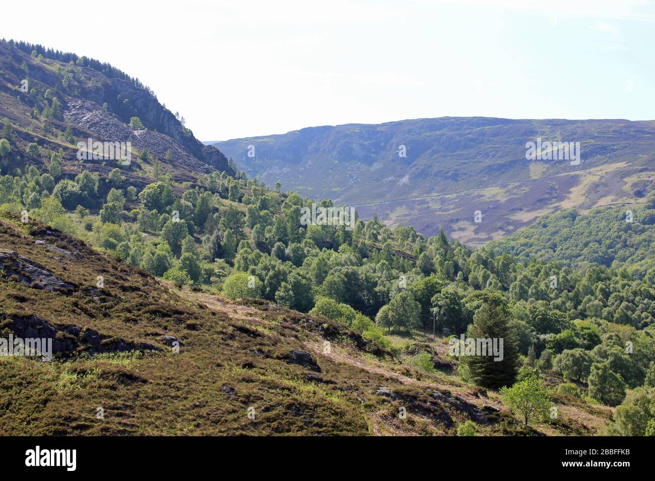 Gwydir Forest Park, Snowdonia National Park Conwy, Wales Stock Photo