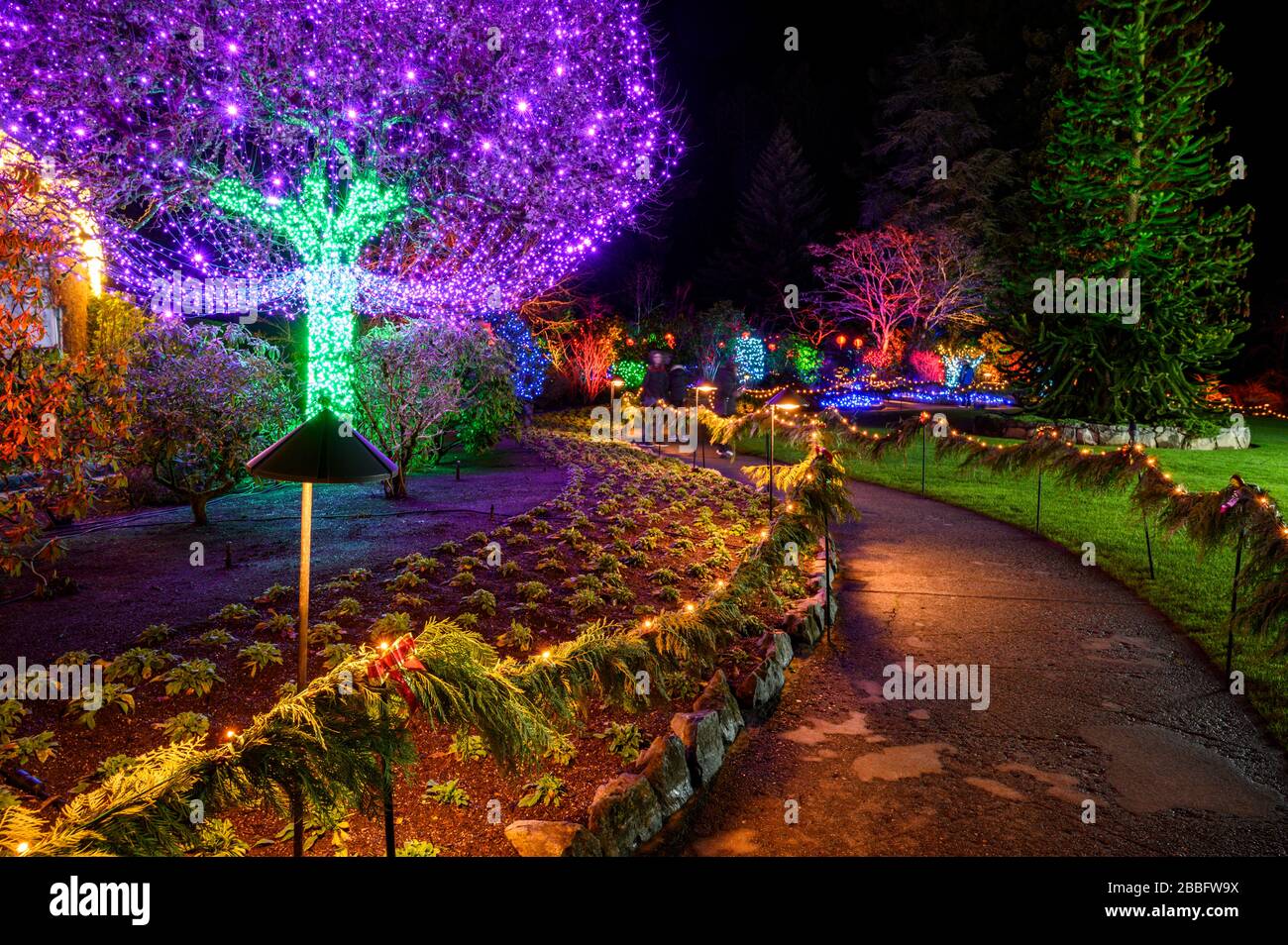 Christmas at Butchart Gardens, Victoria, Vancouver Island, BC, Canada Stock Photo