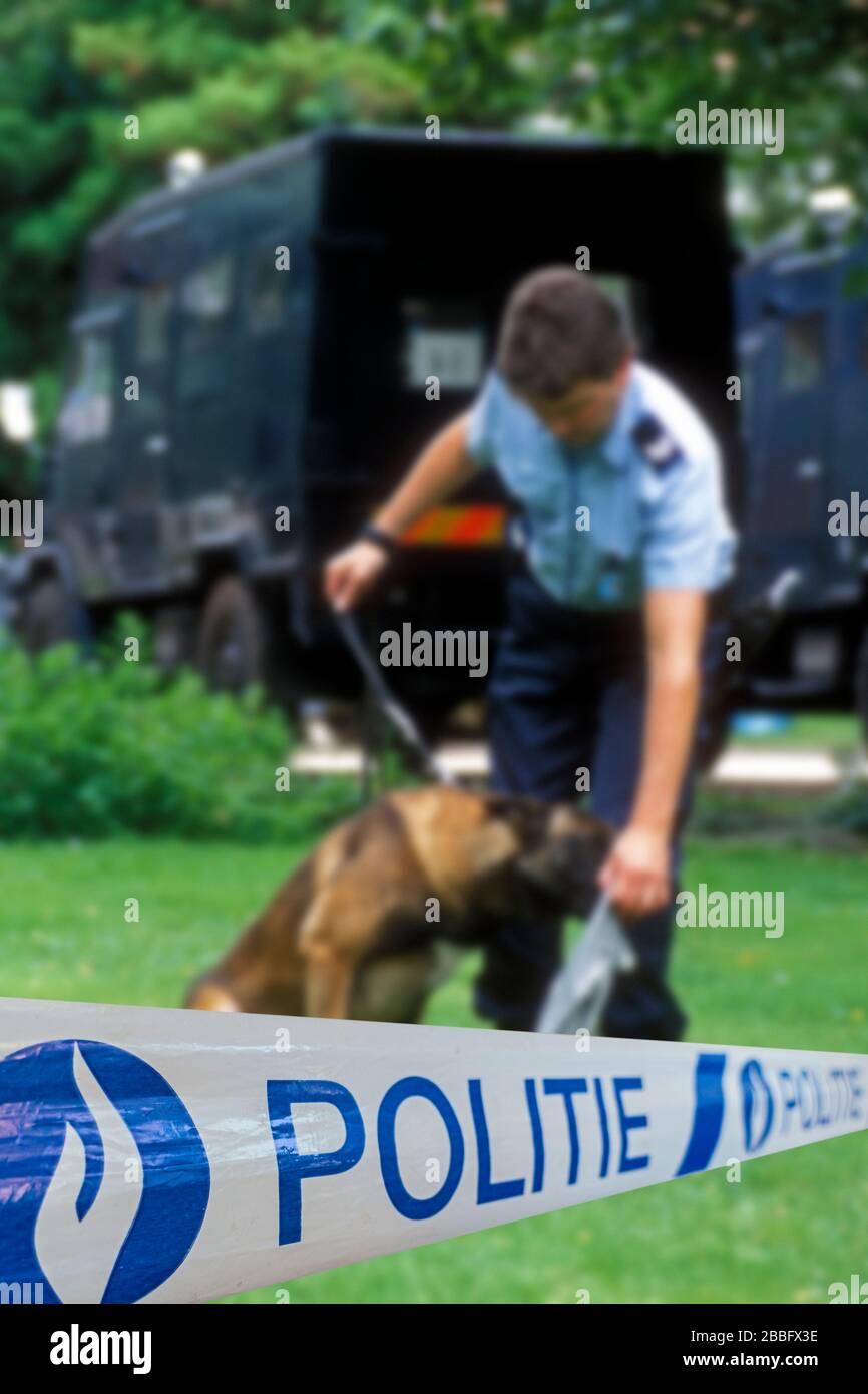 Politie / police tape in front of Belgian policeman with German shepherd police dog sniffing victim's clothes in Belgium Stock Photo