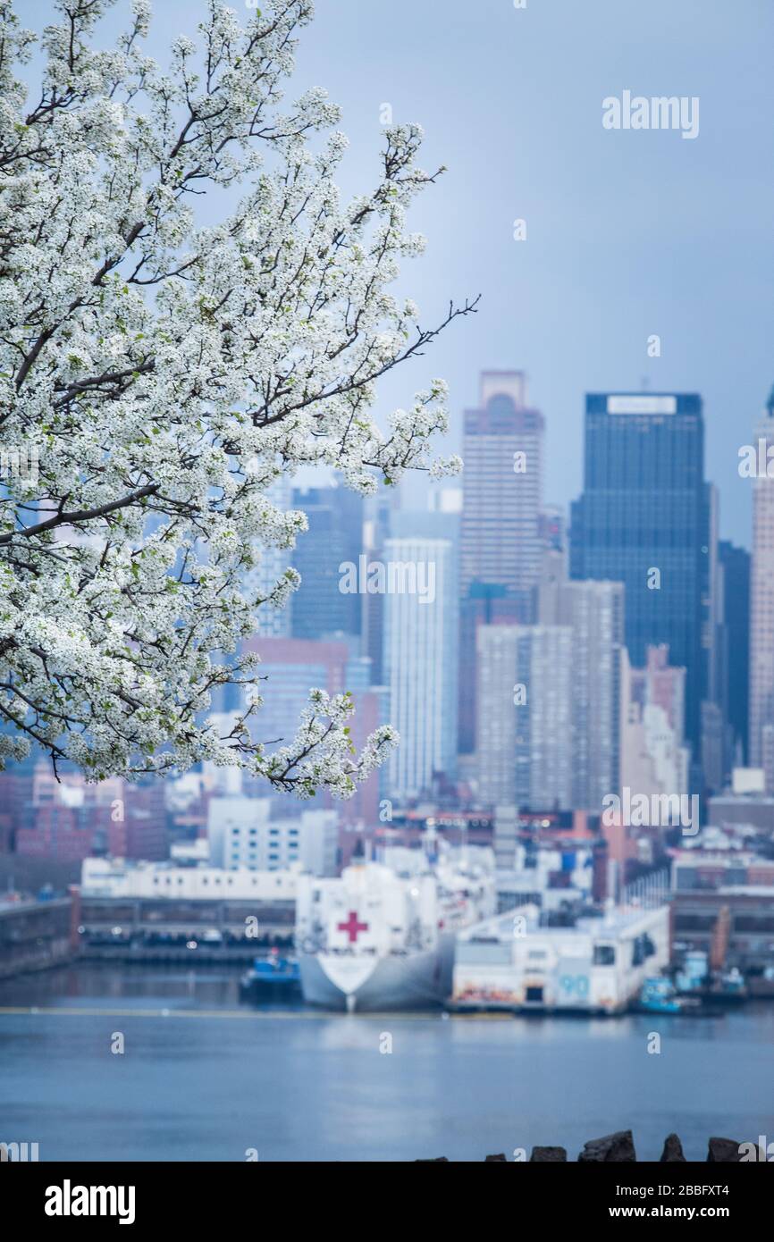 USNS Comfort U.S. Navy Hospital Ship docked in New York City Pier 90