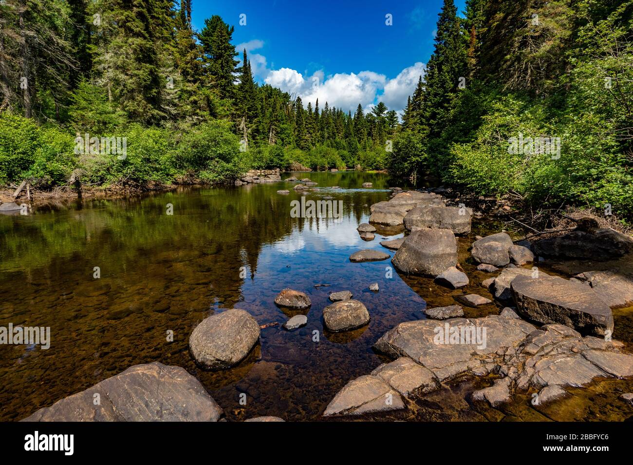 Oxtongue River in the Algonquin Provincial Park Stock Photo - Alamy