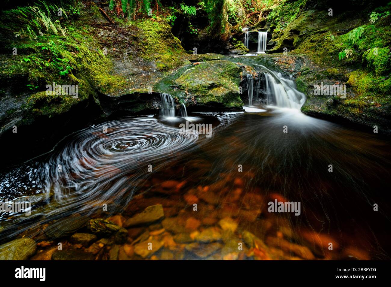 Payzant Creek (Payzant waterfalls), Juan de Fuca Trail, Vancouver Island, BC Canada Stock Photo