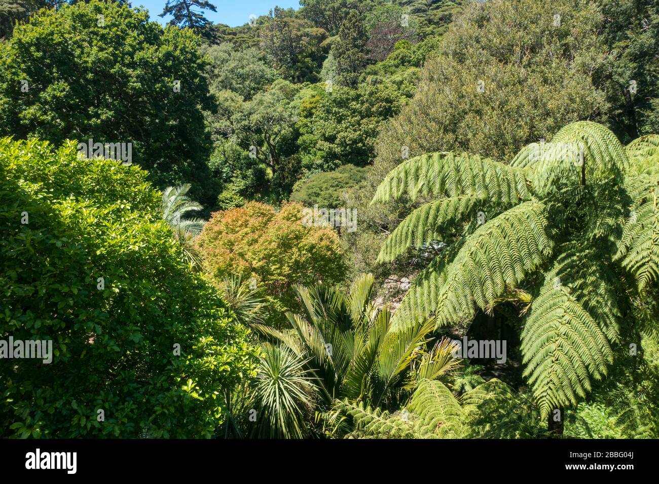 The Botanical Gardens in Wellington, the capital city of New Zealand Stock Photo Alamy The Botanical Gardens in Wellington, the capital city of New Zealand Stock Photo Alamy