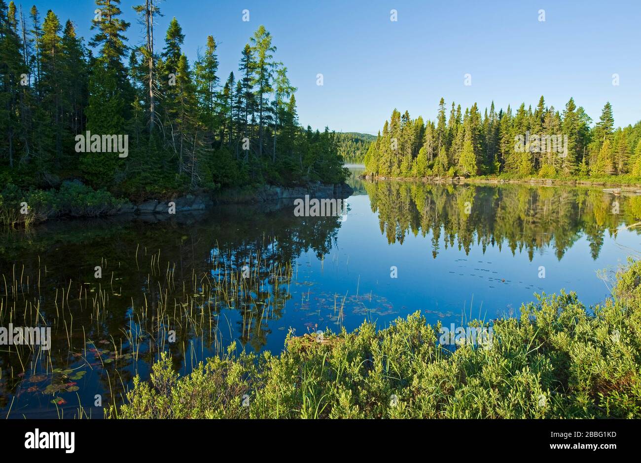Fenton Lake, Lake Superior Provincial Park,  Ontario, Canada Stock Photo