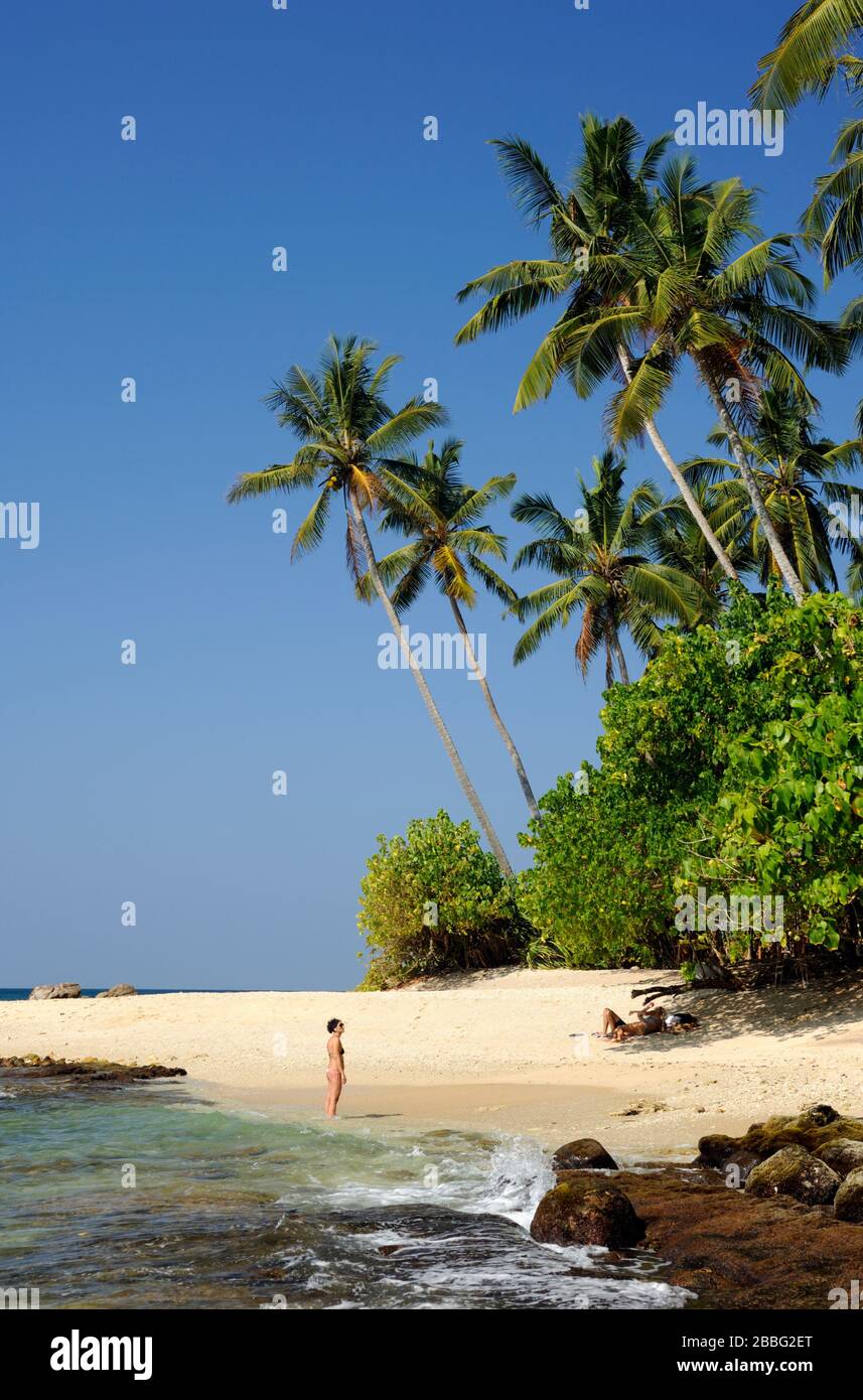 Sri Lanka, Mirissa, secret beach Stoc image