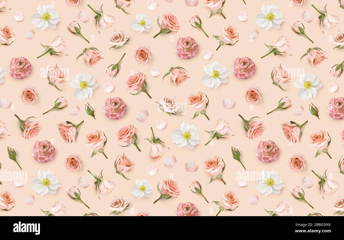 beige flower background