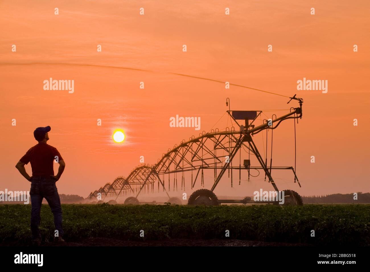 a farmer looks on as a center pivot irrigation system irrigates potatoes at sunset,Tiger Hills, Manitoba, Canada Stock Photo