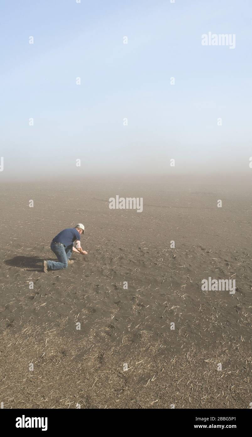 A farmer in a drought stricken field with blowing soil causing erosion, Tiger Hills, Manitoba, Canada Stock Photo