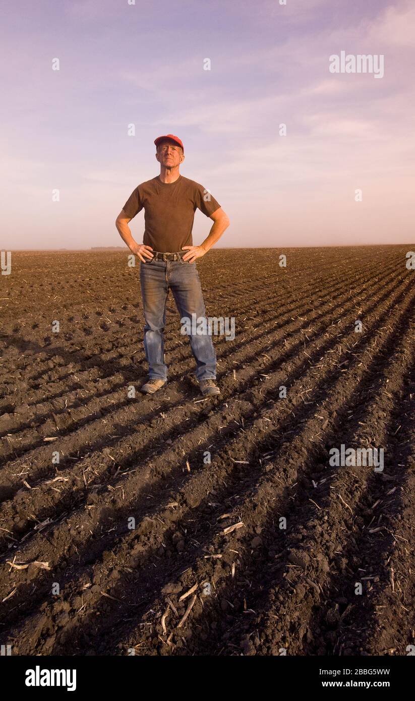 A farmer in a drought stricken field with blowing top soil causing soil erosion, Tiger Hills, Manitoba, Canada Stock Photo