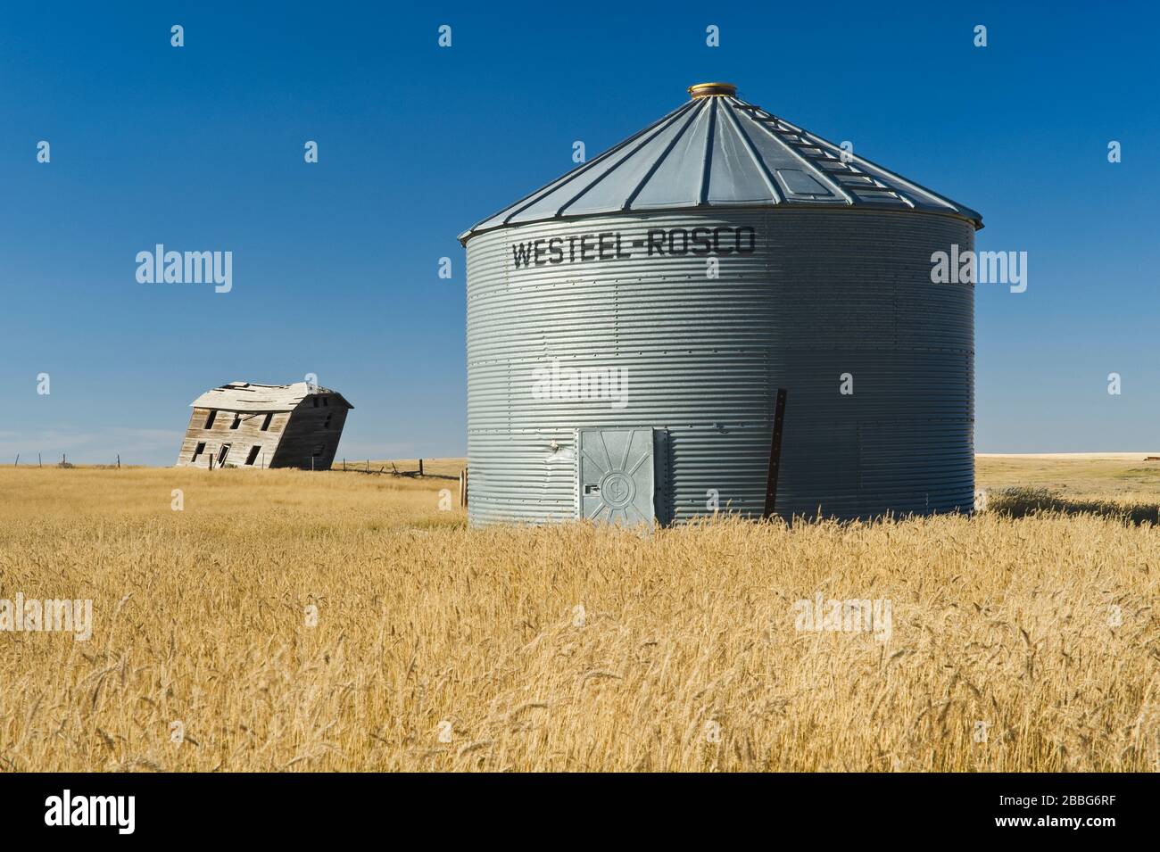 Old grain bin in wheat field hires stock photography and images Alamy