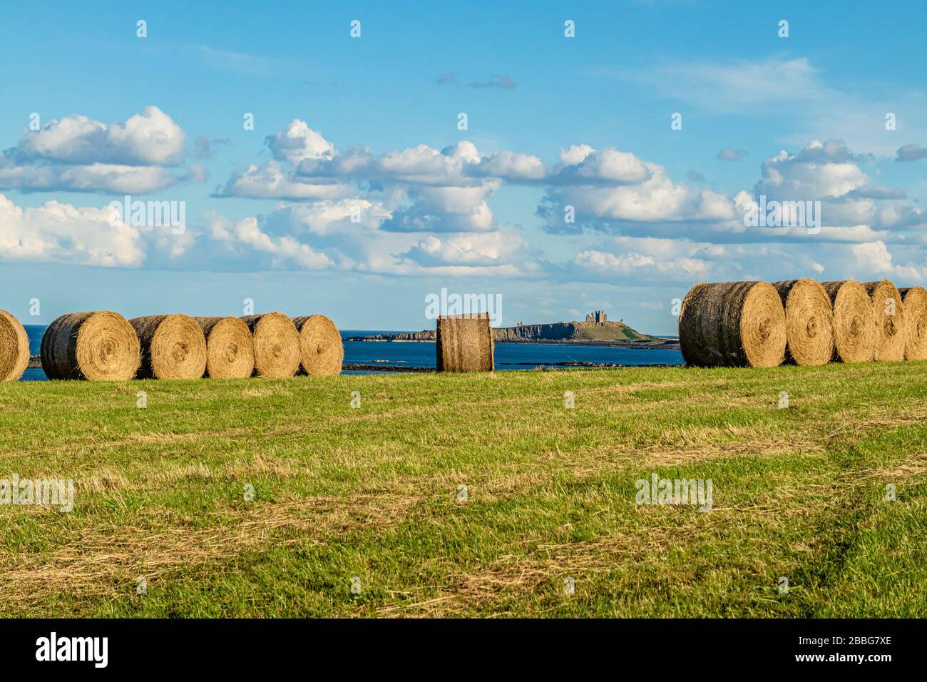 Hay bales on a recently cut meadow beside the sea, with Dunstanburgh Castle ruins behind. Newton-by-the-Sea, Northumberland, UK. August 2018. Stock Photo