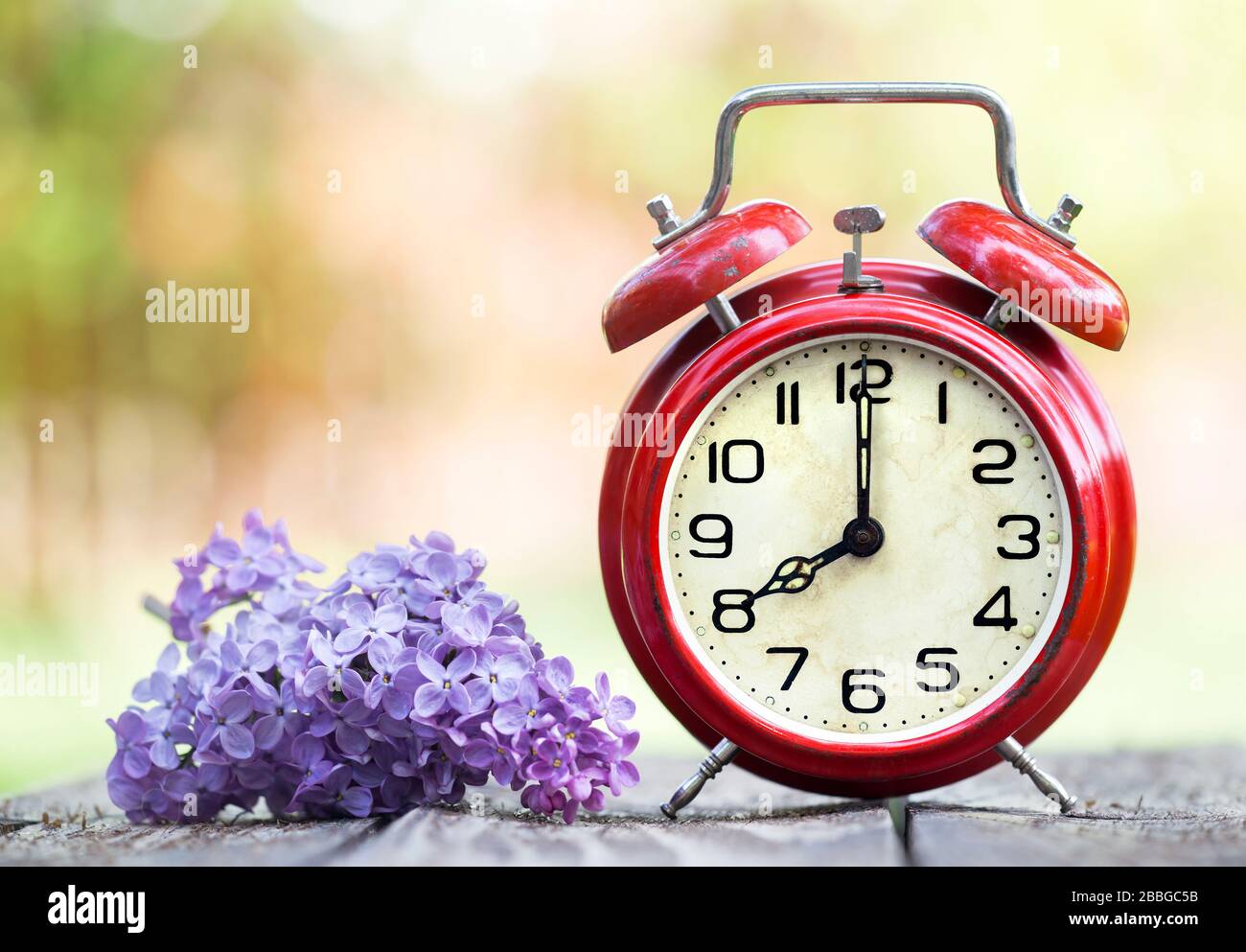 Retro red alarm clock and purple flower, daylight savings time, spring ...