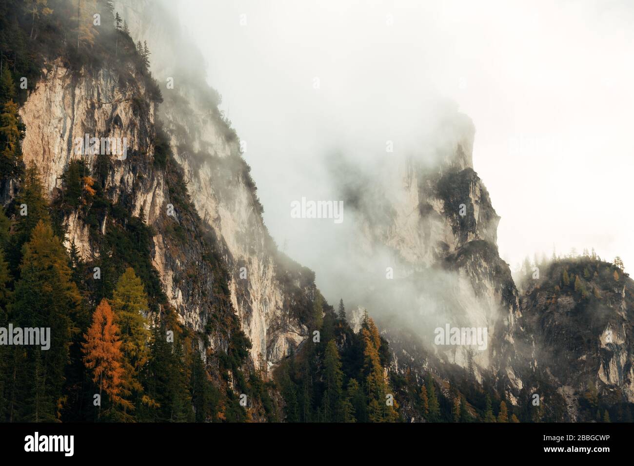 Dolomites natural landcape with Autumn colors in fog in North Italy ...