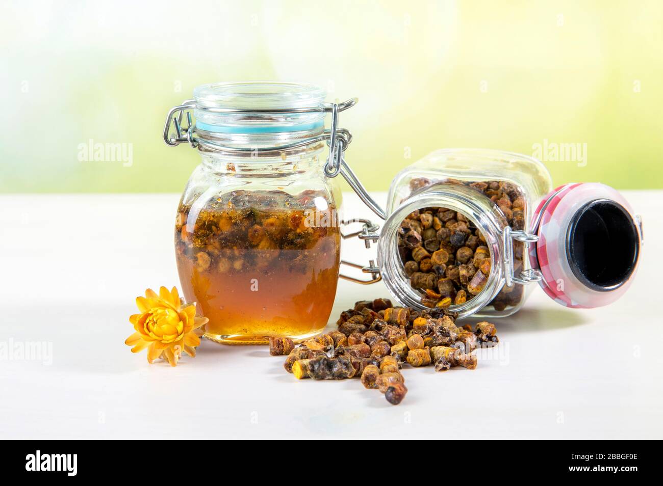 Alternative medicine mixture made with honey and bee bread ( fermented flower and plant pollen by honey bees) inside small glass jar. Stock Photo