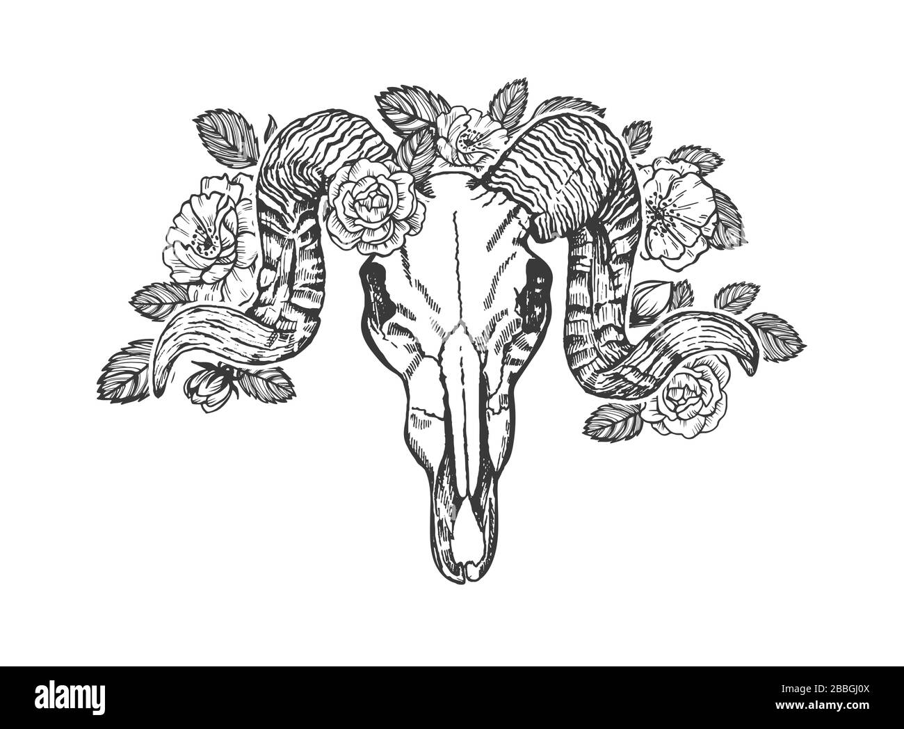 Animal skull with horns decorated with flowers isolated on white  background. Skull tattoo design Stock Vector Image & Art - Alamy
