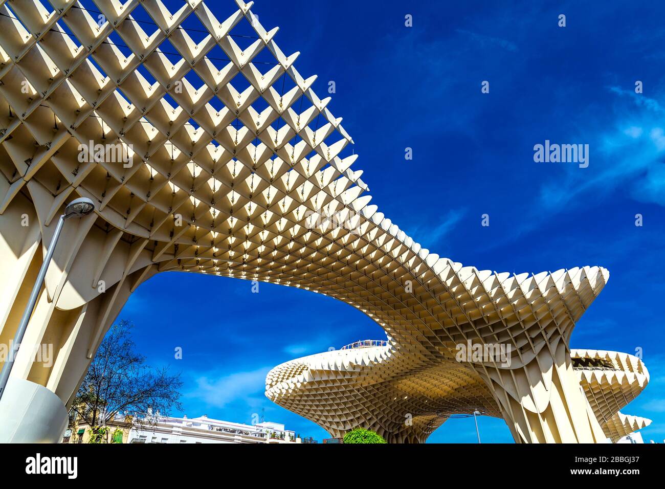 Metropol Parasol, largest wooden structure in the world by architect Jürgen Mayer, Plaza de la Encarnación, Seville, Spain Stock Photo