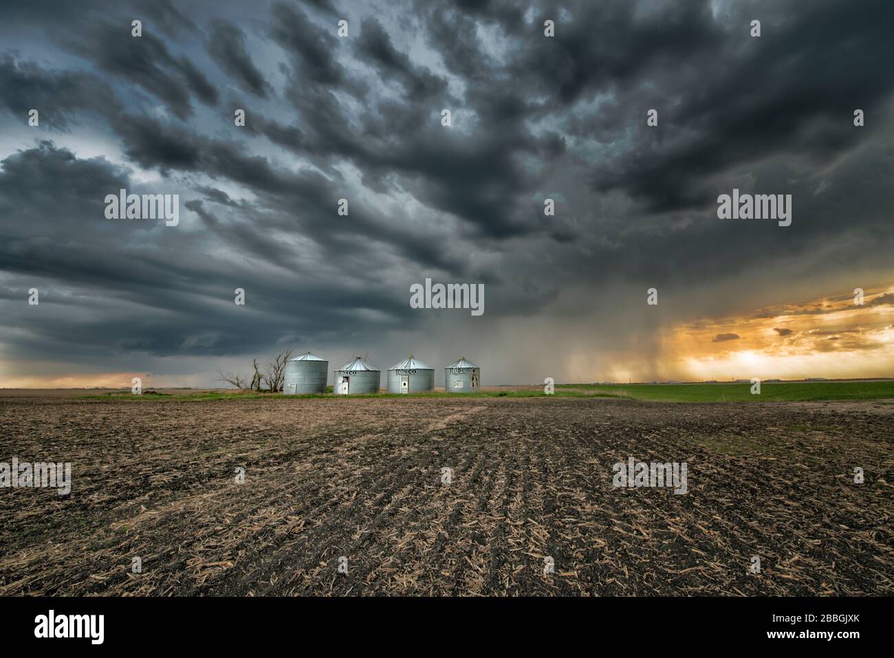 Storm with rain over field with grain bins in rural southern Manitoba