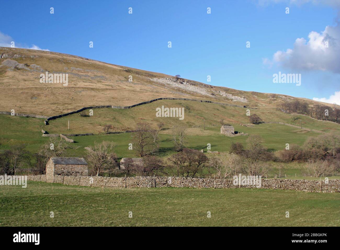 Yorkshire Dales Stock Photo