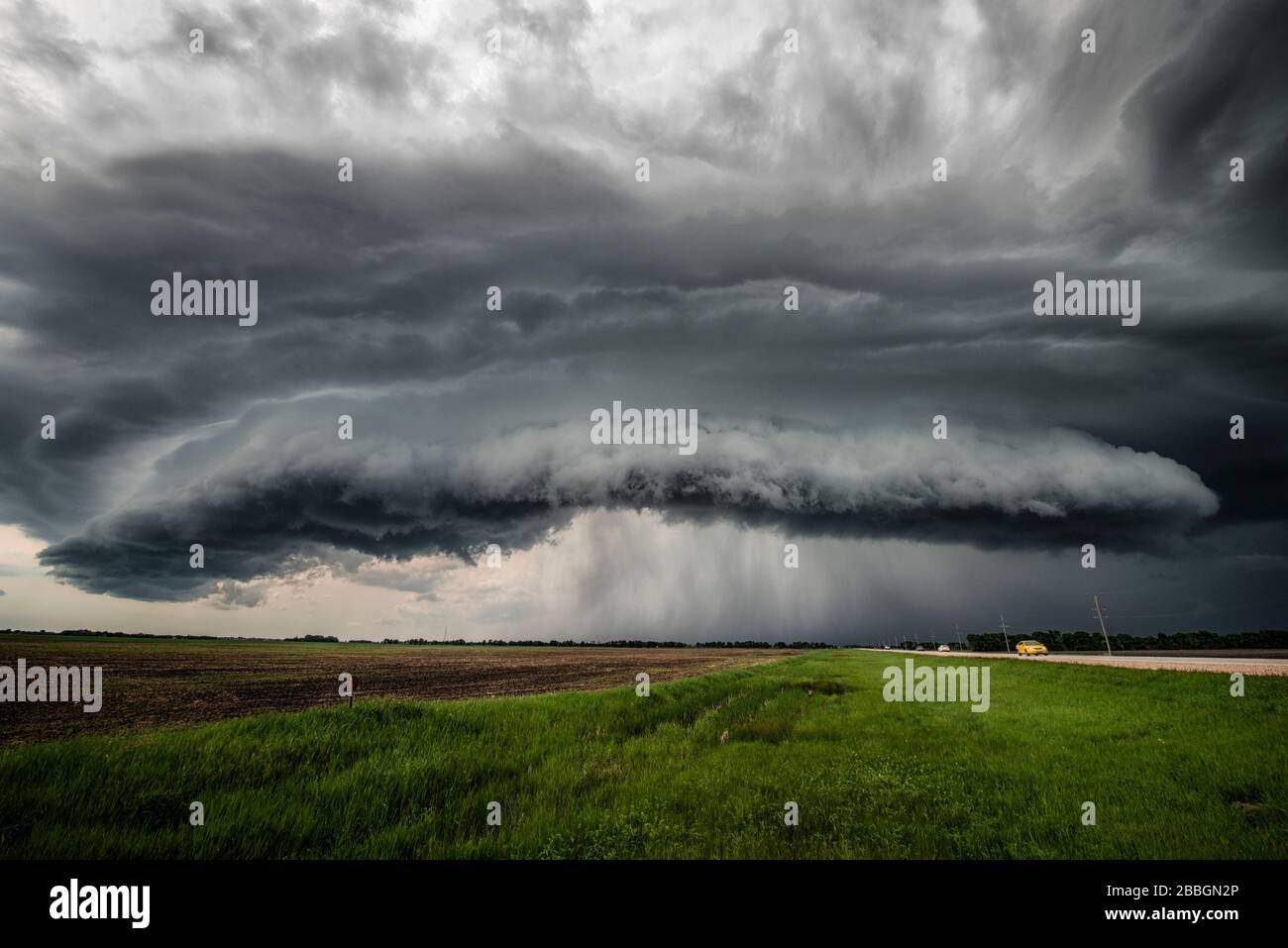 Storm with shelf cloud over rural sunflower field in southern Manitoba Canada Stock Photo