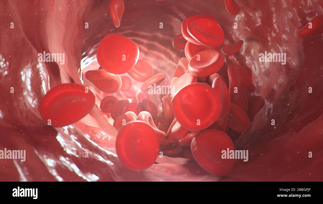3d illustration of red blood cells inside an artery, vein. The flow of blood inside a living organism. Scientific and medical microbiological concept Stock Photo