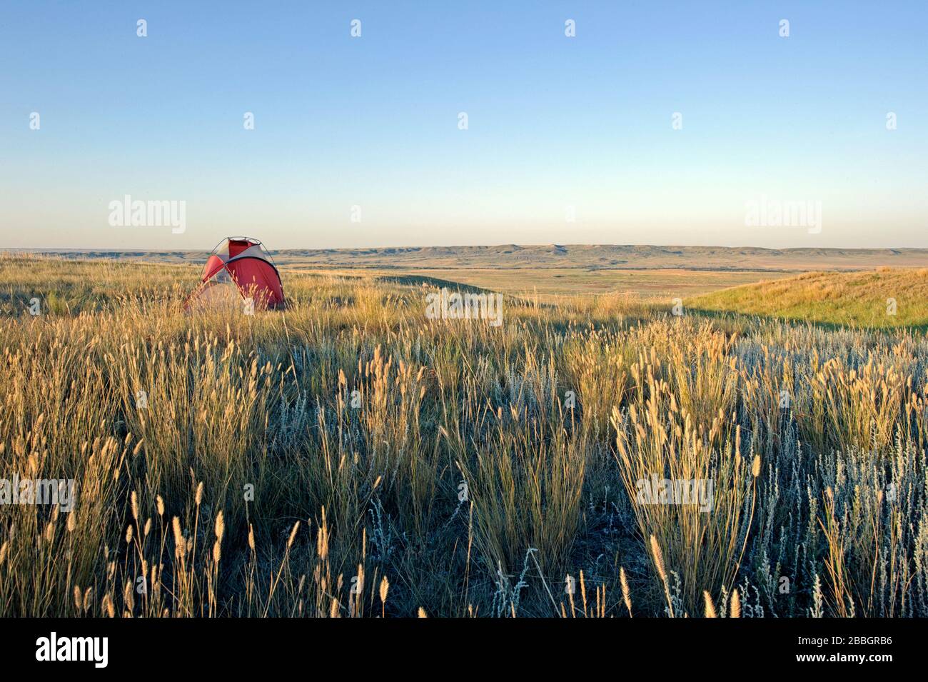 Tent camping at Grasslands National Park. Saskatchewan Canada Stock Photo Alamy