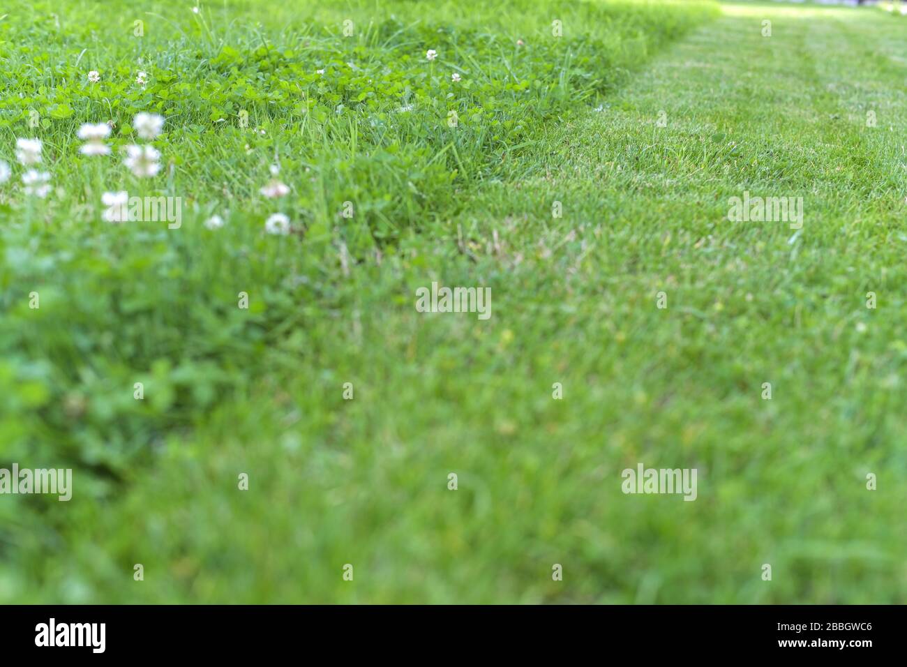 Half mowed lawn hi res stock photography and images Alamy