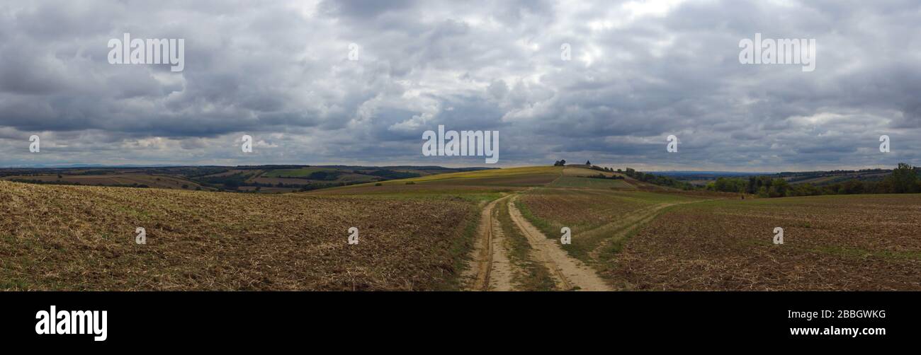 Panoramic view of agricultural field Stock Photo