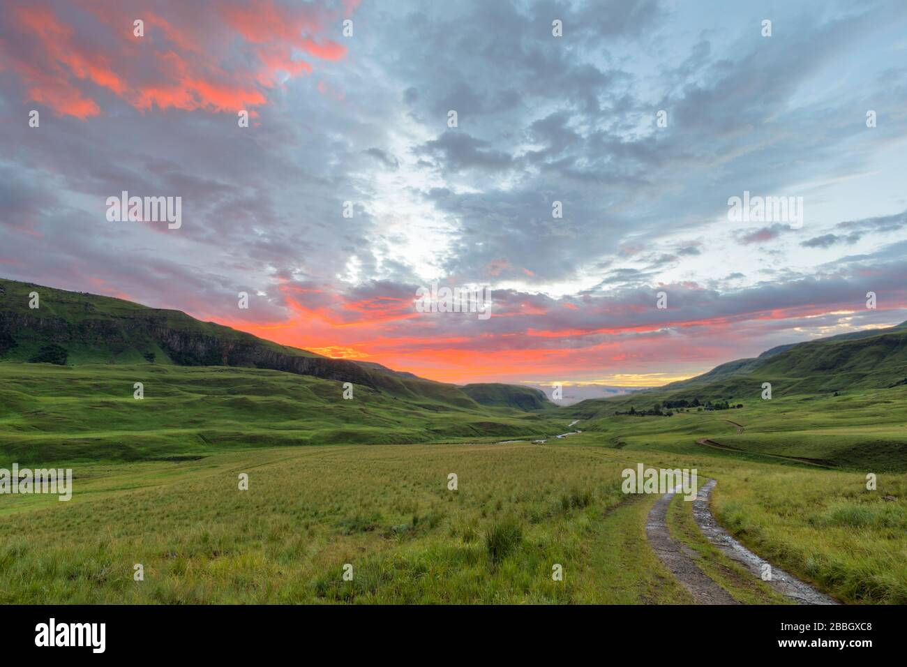 Early Morning Sun Color The Clouds Stock Photo Alamy