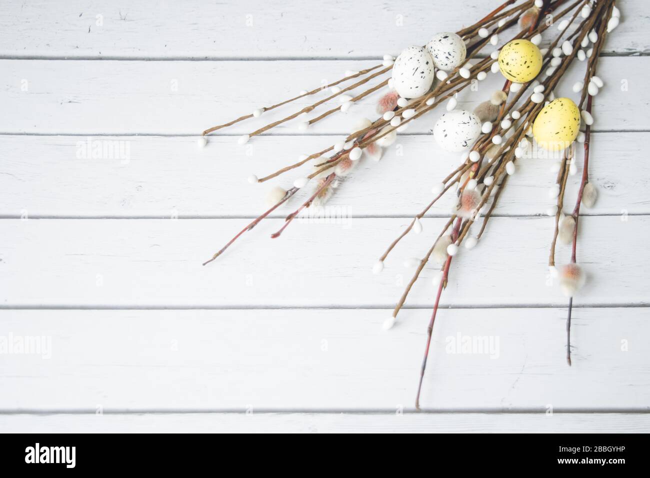 Easter decorations. Willow twigs and decorative Eggs on white wooden background. Stock Photo