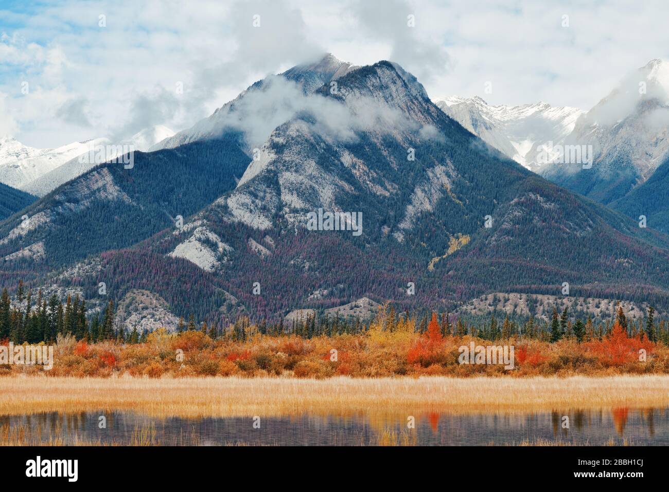 Beautiful Autumn foliage in Jasper National Park in Canada Stock Photo